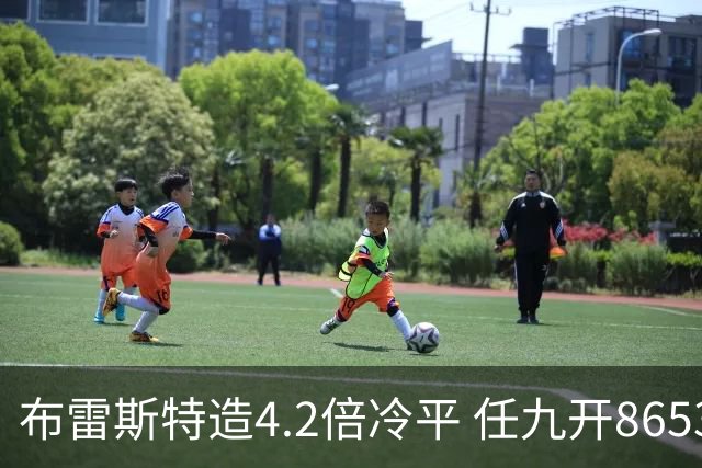 布雷斯特造4.2倍冷平 任九开8653注1378元
